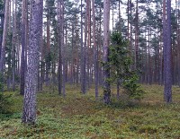 Tee iga päev midagi oma eesmärkide saavutamiseks