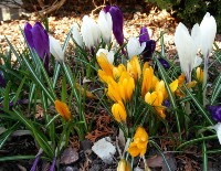 Sinu suur sõber soovide saavutamisel