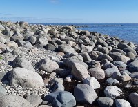 5 ideed, kuidas edasilükkamist vältida