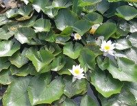 Miks kaotused kuuluvad mängu juurde?